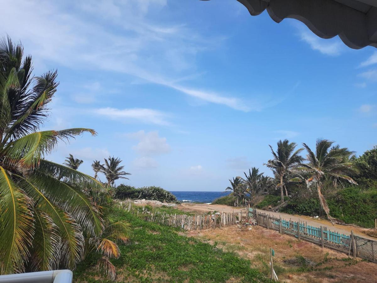 Sur L'Anse Βίλα Terre-De-Haut Εξωτερικό φωτογραφία